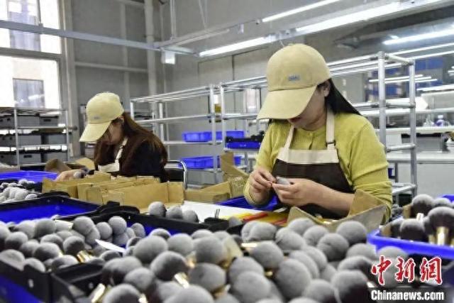 真有“两把刷子”！麻将胡了试玩沧州(图14)
